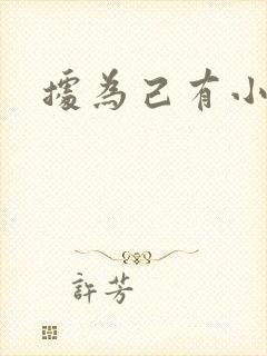 据为己有小说封面