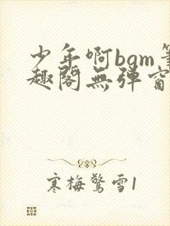 少年啊bgm笔趣阁无弹窗免费封面