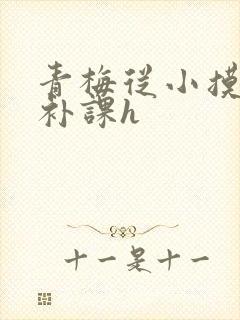 青梅从小摸到大补课h封面