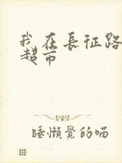 我在长征路上开超市