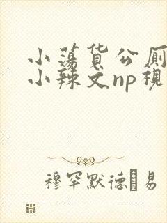 小荡货公厕h文小辣文np视频封面