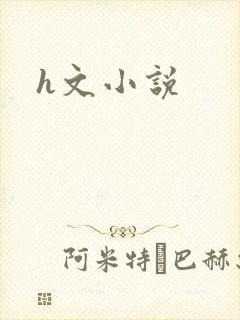 h文小说