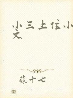 小三上位小说全文