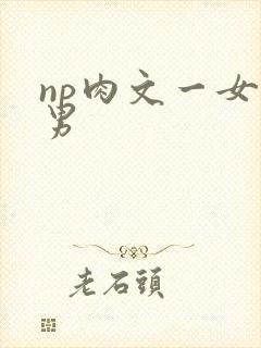 np肉文一女多男