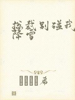 总裁别碰我 韩降雪