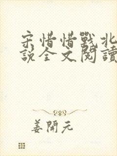 宋惜惜战北望小说全文阅读封面