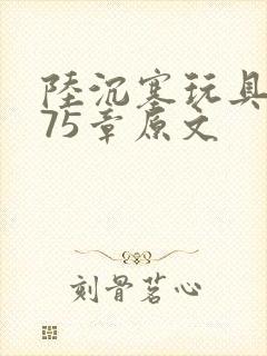 陆沉塞玩具高速75章原文