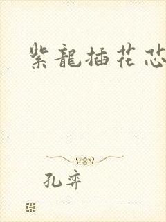 紫龙插花芯方正