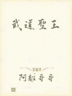 武道圣王