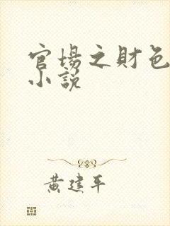 官场之财色诱人小说