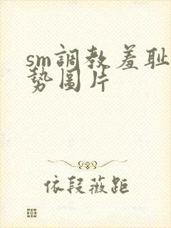 sm调教羞耻姿势图片封面