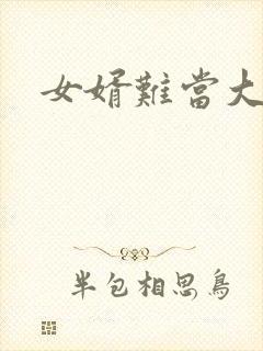 女婿难当大结局封面