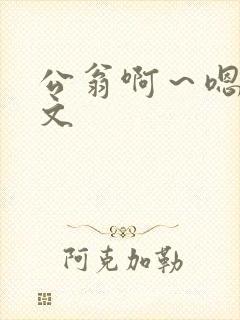 公翁啊～嗯啊h文封面