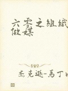 六零之组织给我做媒