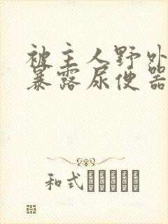 被主人野外调教暴露尿便器封面