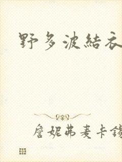 野多波结衣