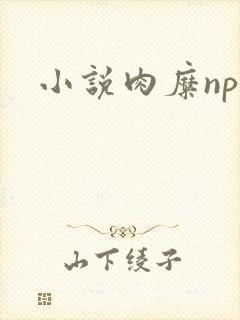 小说肉糜np