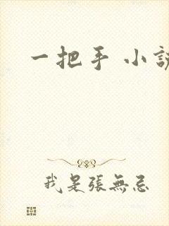 一把手 小说