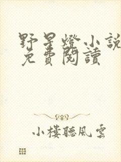 野星灯小说全文免费阅读