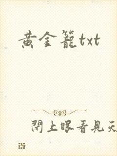 黄金笼txt封面