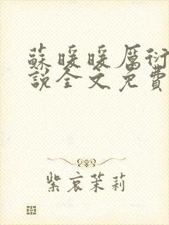 苏暖暖厉衍琛小说全文免费阅读