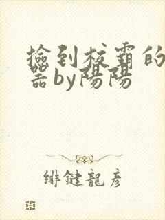 捡到校霸的遥控器by阳阳封面