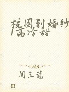 校园到婚纱1V1高冷甜