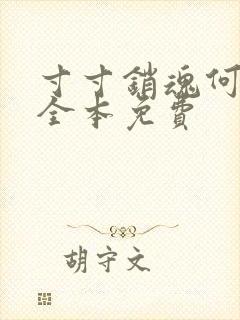 寸寸销魂何生祥全本免费