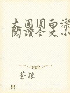 大团圆白洁免费阅读全文小说封面