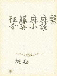 征服麻麻系列大合集小说