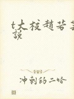 t大校赵若芸小说封面