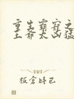 重生霸宠之摄政王爷太凶猛