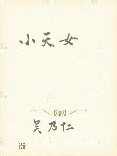 小天女封面