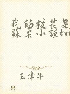 我的校花是福姬苏柔小说txt