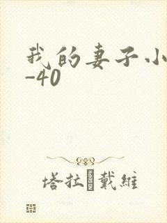 我的妻子小谨1-40