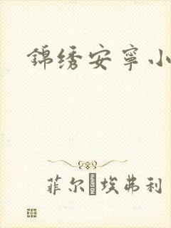 锦绣安宁小说