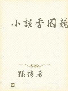 小说香国竞艳