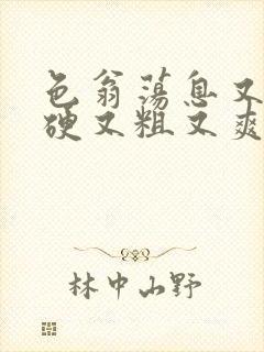 色翁荡息又大又硬又粗又爽电影