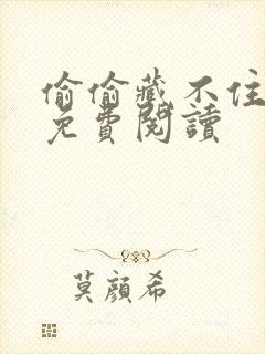 偷偷藏不住小说免费阅读