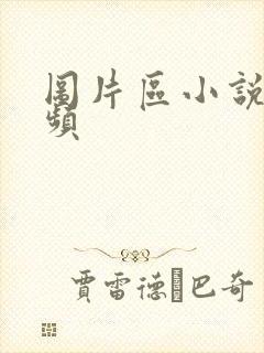 图片区小说区视频