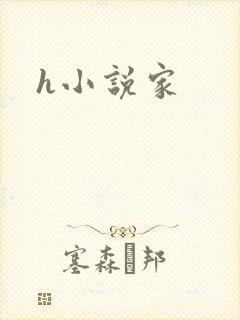 h小说家