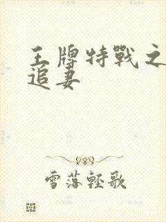 王牌特战之军少追妻