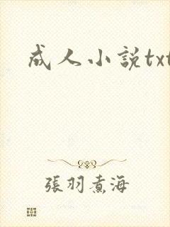 成人小说txt