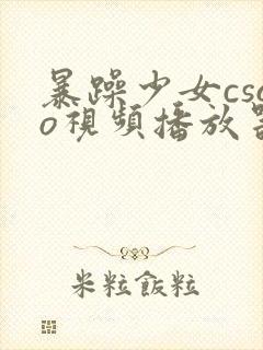 暴躁少女csgo视频播放器推荐