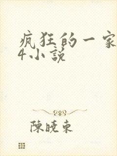 疯狂的一家ps4小说
