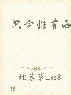 只今惟有西江月