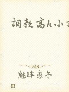 调教高h小说封面