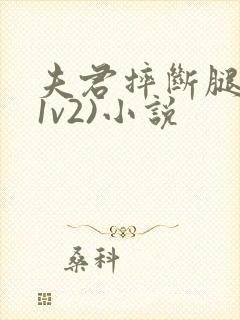夫君摔断腿后(1v2)小说