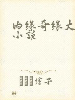 内缘奇缘大团圆小说封面
