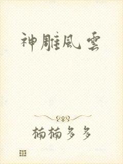 神雕风云